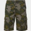 Pier One Uomo Shorts - Dark Green 1 Pier One Uomo Shorts - Dark Green -Offerta Economica Pier One 7af65f9e6d1a421baa803dbf882ec86b