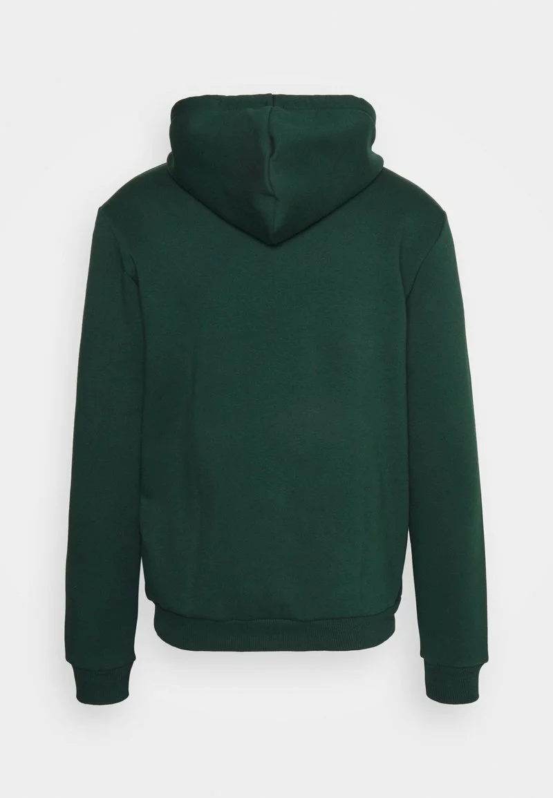 Pier One Uomo DENVER COLLEGE HOODIE - Felpa - Green 4 Pier One Uomo DENVER COLLEGE HOODIE - Felpa - Green - immagine 2