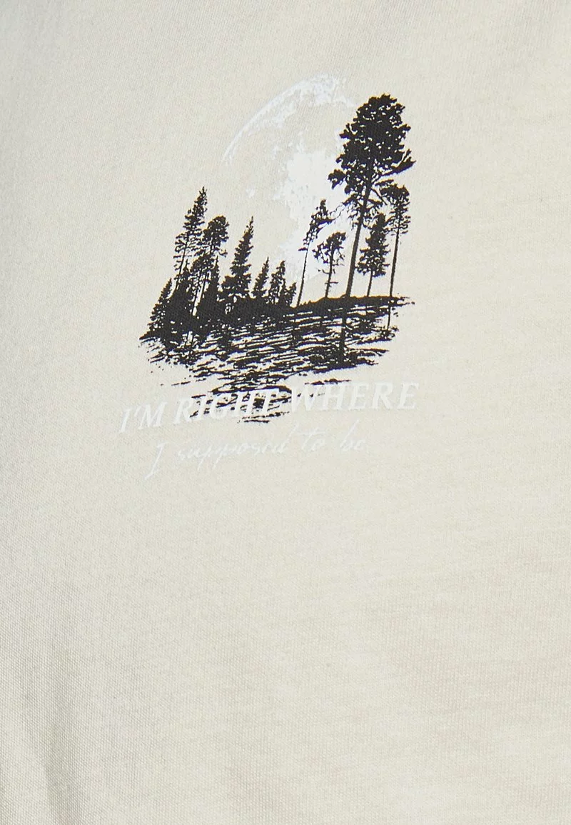 Pier One Uomo MOON SCENE GRAPHIC T-SHIRT - T-shirt Con Stampa - Grey 5 Pier One Uomo MOON SCENE GRAPHIC T-SHIRT - T-shirt Con Stampa - Grey - immagine 3